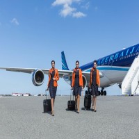 New campaign of Azerbaijan Airlines